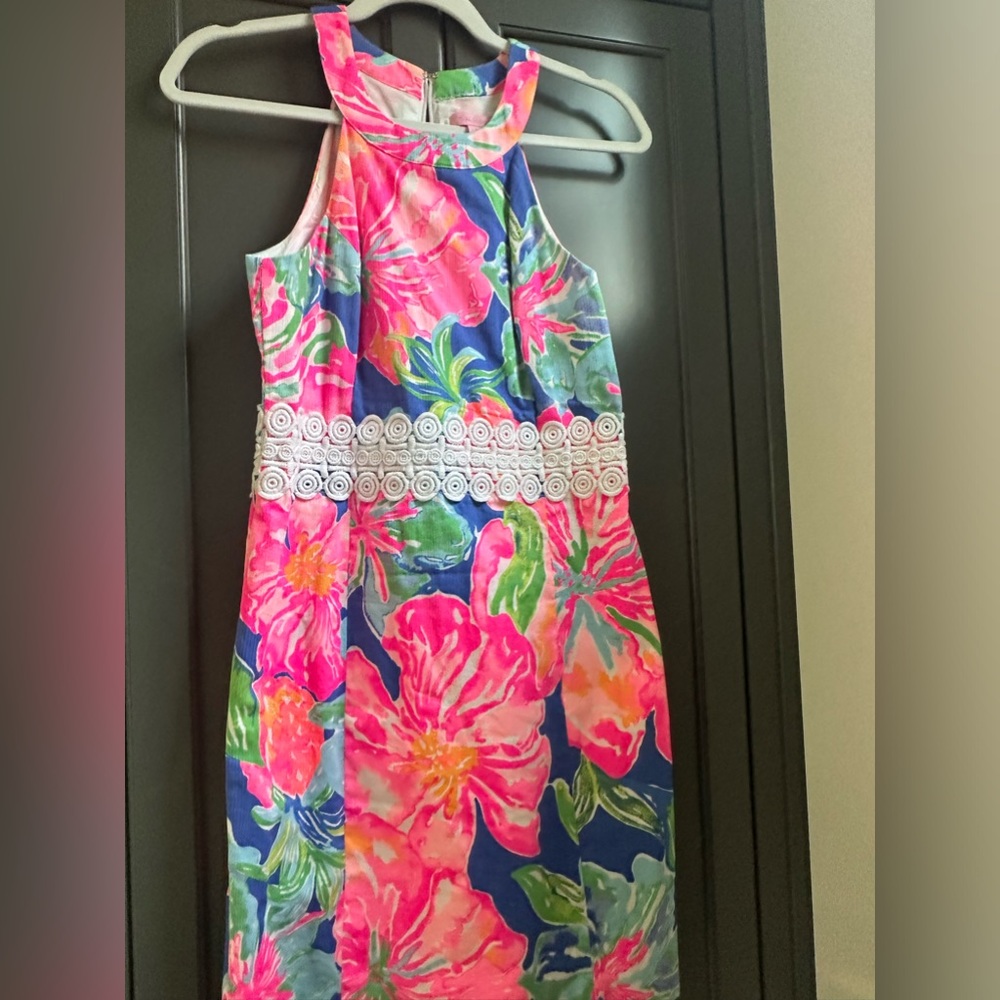 Size 2 Lilly dress
